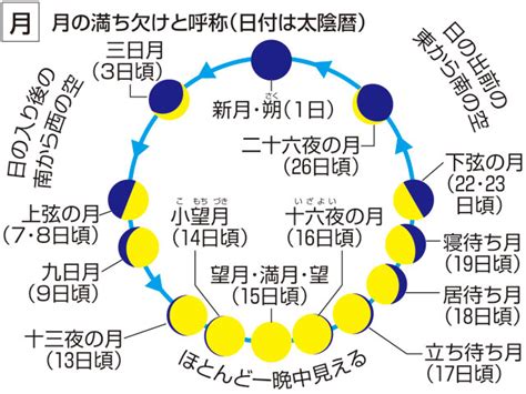 日課|日課」の意味や使い方 わかりやすく解説 Weblio辞書